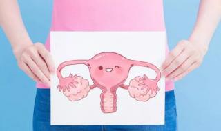 子宫内膜厚度正常值 子宫内膜一般多厚正常